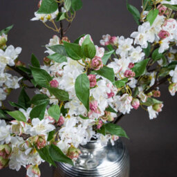 Wyld Haus Set Of 3 Artificial English Blossom Branches 90Cm White-Pink Flowers With Green Leaves - thumbnail 5