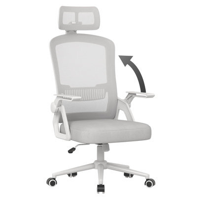 Onemill Ergonomic Office Chair With 90 Degrees Flip-Up Armrest And Lumbar Support For Home/office-Grey - image 1