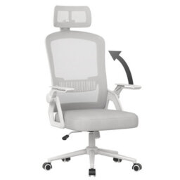 Onemill Ergonomic Office Chair With 90 Degrees Flip-Up Armrest And Lumbar Support For Home/office-Grey - thumbnail 1