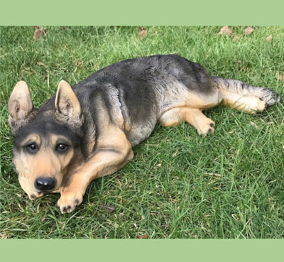 Animal Crackers Laying German Shepherd Figurine, Large (44Cm Long) Realistic Home Or Garden Ornament Or Memorial - image 1