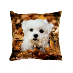 Velosso Digital Print Soft Fabric Cushion, Zip Closure, Machine Washable - Multicolour