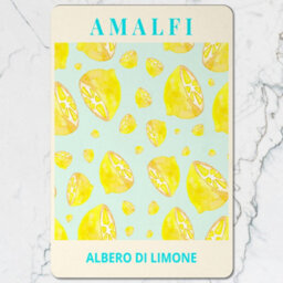 Benjamin Tate Design Amalfi Albero Di Limone Placemat And Coaster Set With Wood Base Limited Edition Collection - thumbnail 2