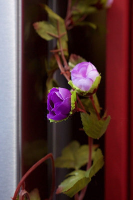 Best Artificial 7Ft Silk Purple Mini Rose Flower Garland Decoration - image 1