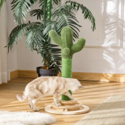 Pawhut Cactus Cat Tree, 60Cm Sisal Scratching Post For Indoor Cats, Green - thumbnail 1