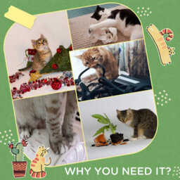 Pawhut Cactus Cat Tree, 60Cm Sisal Scratching Post For Indoor Cats, Green - thumbnail 6