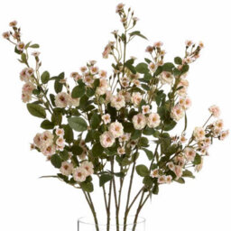 Hill Interiors Uk Homeliving Cream Wild Meadow Rose - thumbnail 6
