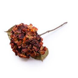 Burnt Orange Hydrangea Single Stem Artificial Flower (H) 470mm - thumbnail 2