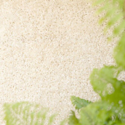 Loomed Soft Value Cream Shaggy Area Rug 110X160Cm - thumbnail 3