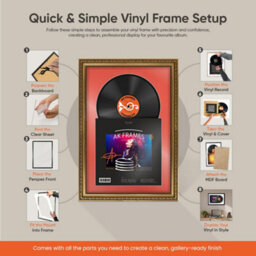 "AK Frames 25X17"" Gold Ornate Vinyl Record Frame With Silver Mount For 12 Inch Lp Cover & Disc - Overlapped Design" - thumbnail 7