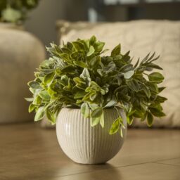 Candlelight 12Cm Herb Pot With Artificial Plant In Pale Grey Ceramic Pot - thumbnail 5