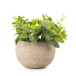Candlelight 12Cm Herb Pot With Artificial Plant In Pale Grey Ceramic Pot