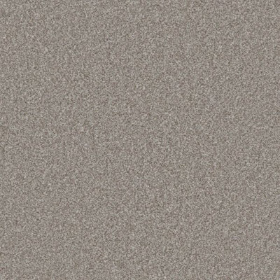 Furlong Flooring Provence Classic Carpet (Truffle, 4M X 4M) - image 1