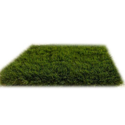 "Cypress 38mm Artificial Grass, Pet-Friendly Artificial Grass, Non-Slip Fake Grass For Decks Patio-6M(19'8"") X 4M(13'1"")-24M²" - thumbnail 2