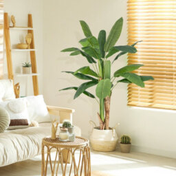 Costway 160Cm Tall Bird Of Paradise Artificial Palm Tree Faux Banana Leaf Tree In Nursery Pot - thumbnail 3