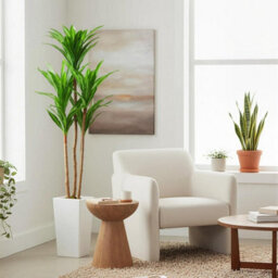Artificial Brazilian Wood Tree In Pot Decorative Evergreen Plant - thumbnail 3