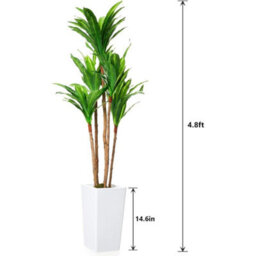 Artificial Brazilian Wood Tree In Pot Decorative Evergreen Plant - thumbnail 2