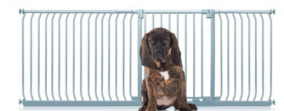 Bettacare Elite Pressure Dog Gate, 234Cm - 243Cm, Matt Grey, Pressure Fit Pet Gate For Dog And Puppy - image 1