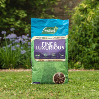 Westland Fine & Luxurious Professional Lawn Seed 7Kg, Covers 291Sqm