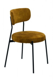 Buttercup Farm Stackable Glenn Dining Chairs (Pack Of 2) - Velvet - L52 X W52 X H78 Cm - Mustard - thumbnail 3