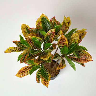 Homescapes Artificial Green Handcrafted 'rushfoil' Croton Plant With Pot, 65 Cm - image 1