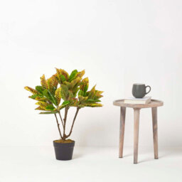 Homescapes Artificial Green Handcrafted 'rushfoil' Croton Plant With Pot, 65 Cm - thumbnail 5