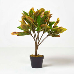 Homescapes Artificial Green Handcrafted 'rushfoil' Croton Plant With Pot, 65 Cm - thumbnail 4