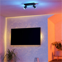 Loops Sleek Black Bar Ceiling Spotlight For Indoor Spaces - Modern Design & Elegant Illumination - thumbnail 7