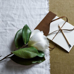 Wyld Haus Set Of 3 White Magnolia Artificial Flower Stems - thumbnail 6