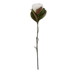 Wyld Haus Set Of 3 White Magnolia Artificial Flower Stems - thumbnail 1