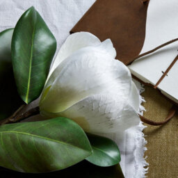 Wyld Haus Set Of 3 White Magnolia Artificial Flower Stems - thumbnail 7