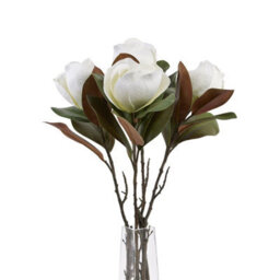 Wyld Haus Set Of 3 White Magnolia Artificial Flower Stems - thumbnail 2