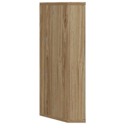 Vidaxl Corner Bathroom Mirror Cabinet Oak 30X24X60 Cm - thumbnail 5