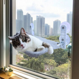 Xample Cat Window Bed, Cordless Folding Cat Window Perch, Cat Window Hammock Wall With 4 Suction Cups, Sturdy Setal(Medium (30 X 45Cm) - thumbnail 7