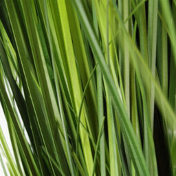 Leaf 130Cm Artificial Extra Large Grass Plant With Copper Metal Plater - thumbnail 4
