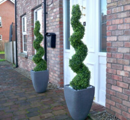 Best Artificial 4Ft - 120Cm Green Boxwood Spiral Topiary Tree - Suitable For Outdoor Use - Weather & Fade Resistant - thumbnail 4