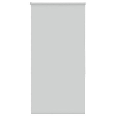 Walplus Light Grey Blackout Roller Blind 70X150 Cm, Fabric Width 65.7 Cm Polyester - image 1