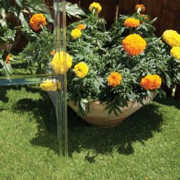 Palram - Canopia Harmony 6X6 Ft Green Aluminium Apex Greenhouse With Polycarbonate (Pc) Glazing - thumbnail 5
