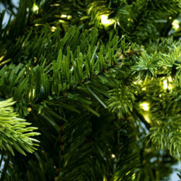 Christmas Tree World The 7Ft/210Cm Ultra-Lit Montagna Fir Tree With Micro Led Lights - thumbnail 7