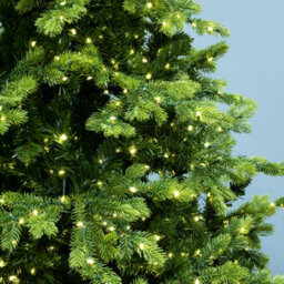 Christmas Tree World The 7Ft/210Cm Ultra-Lit Montagna Fir Tree With Micro Led Lights - thumbnail 3
