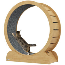 "Pawhut Cat Treadmill, 39.4"" Wooden Cat Running Wheel With Brake, Natural" - thumbnail 2