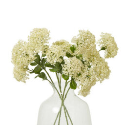 Wyld Haus Set Of 3 Cream Sedum Artificial Flower Sprays 580mm - thumbnail 3