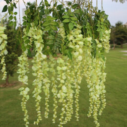 Living And Home Set Of 12 Green Artificial Hanging Flowers Simulation Wisteria Flowers Wedding Decor - thumbnail 3