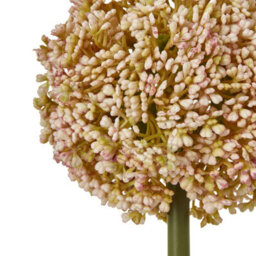 Wyld Haus Set Of 3 Pink Artificial Allium Stems, Silk-Look Faux Flowers, 750mm Tall - thumbnail 2