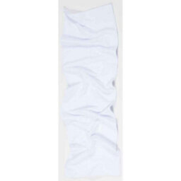 Towel City Sports Microfibre Towel White (One Size)