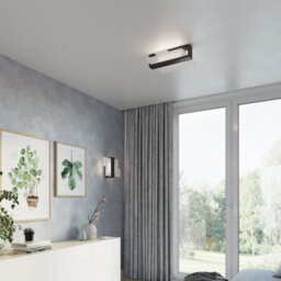 Luminosa Lighting Luminosa Feniks 1 Light Flush Wall Light Black, E27 - thumbnail 7