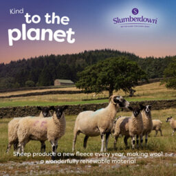 Slumberdown Wonderful Wool Mediumweight Duvet - Ideal For All-Year Comfort - thumbnail 3