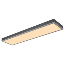 Luminosa Lighting Luminosa Doro 80X20Cm Flush Ceiling Light Silver Colored Led 3000K