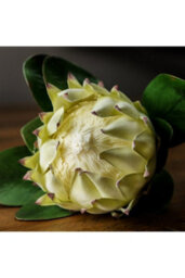 Large White Protea Artificial Flower For Elegant Decor - thumbnail 2