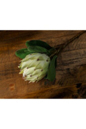 Large White Protea Artificial Flower For Elegant Decor - thumbnail 3
