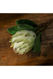 Large White Protea Artificial Flower For Elegant Decor - thumbnail 4